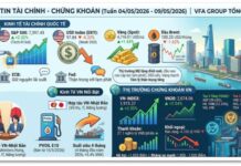 Bản Tin Tài Chính – Chứng Khoán Tuần 04/05/2026 – 09/05/2026. Homepage
